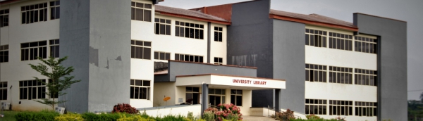 21st Century World-Class Library