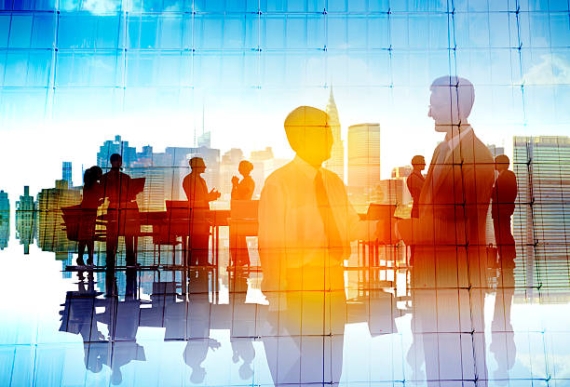 B.Sc. Public Administration